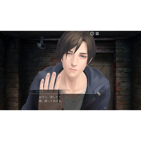 Switch「囚われのパルマ デラックス エディション」パッケージ版が楽天