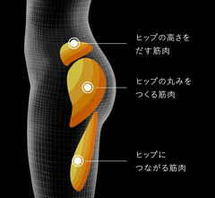 SIXPAD、ヒップアップに必要な筋肉を鍛えるスマホ連携モデル「シックス