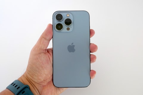 iPhone 13 Proの「シネマティックモード」は愛犬の撮影にもってこい