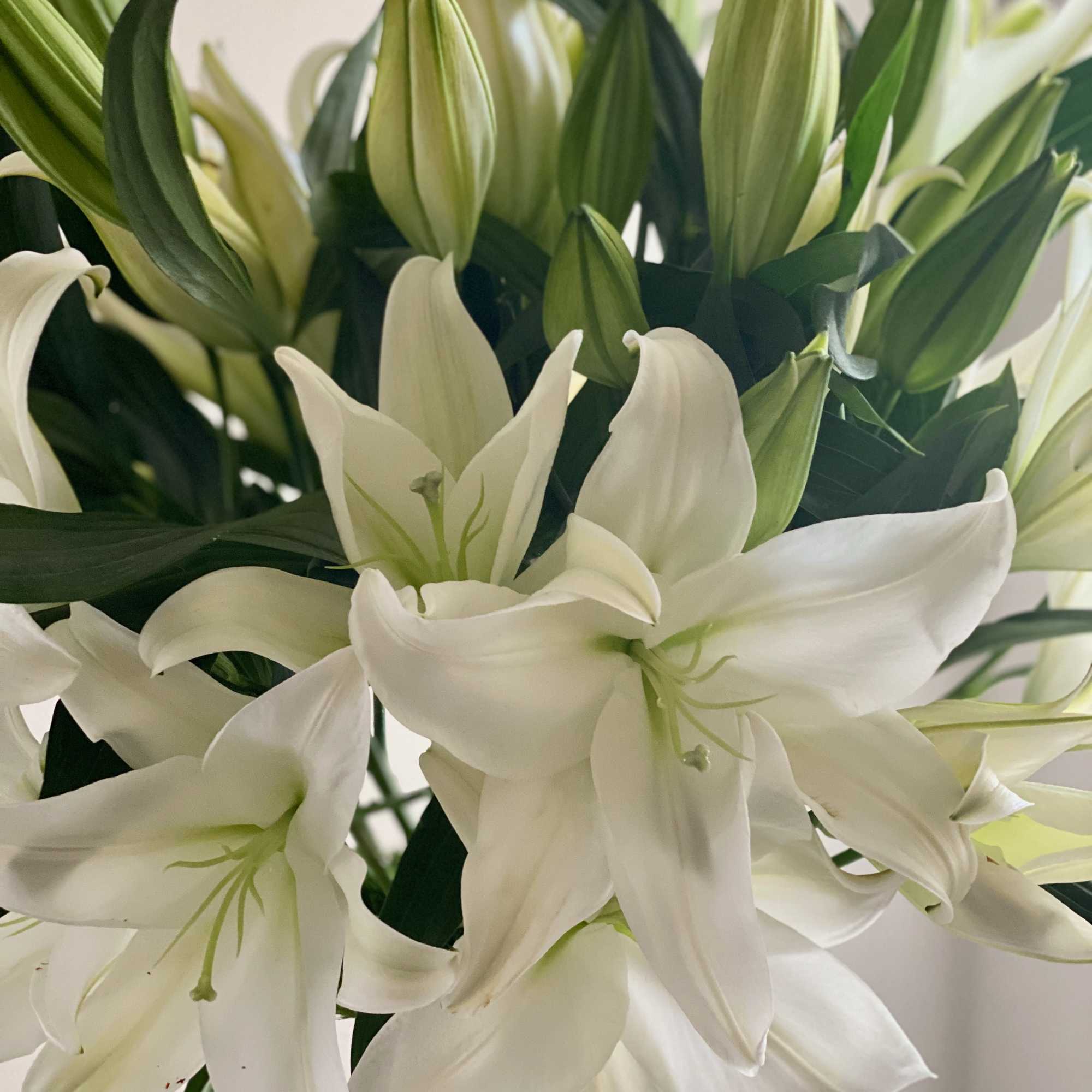 Casablanca Lilies***Naturally Scented***by Art Le Fleur Flowers