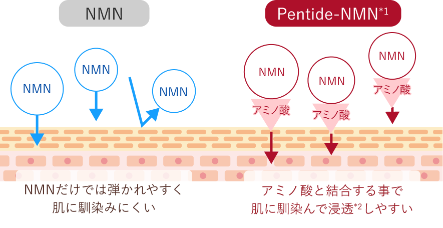 cell. PLATINUM(セルドット プラチナム)|ファビウス公式オンラインショップ