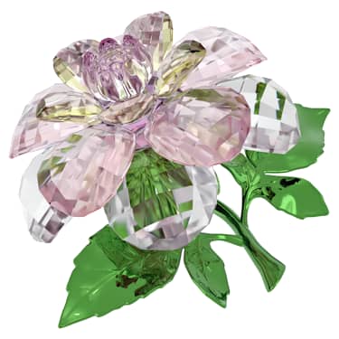 Florere Camellia | Swarovski