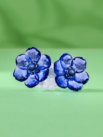 SCS年度限定品コレクション | Swarovski JP