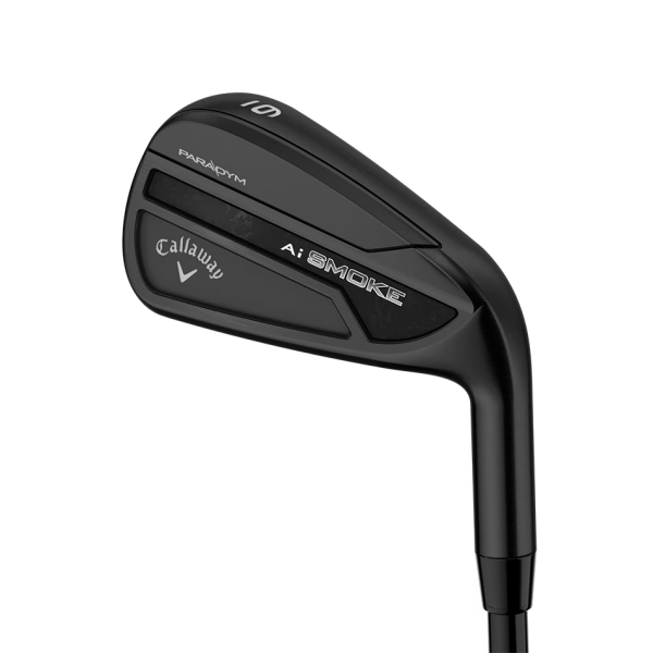 パラダイム AI スモーク ブラック／PARADYM Ai SMOKE BLACK アイアン 6