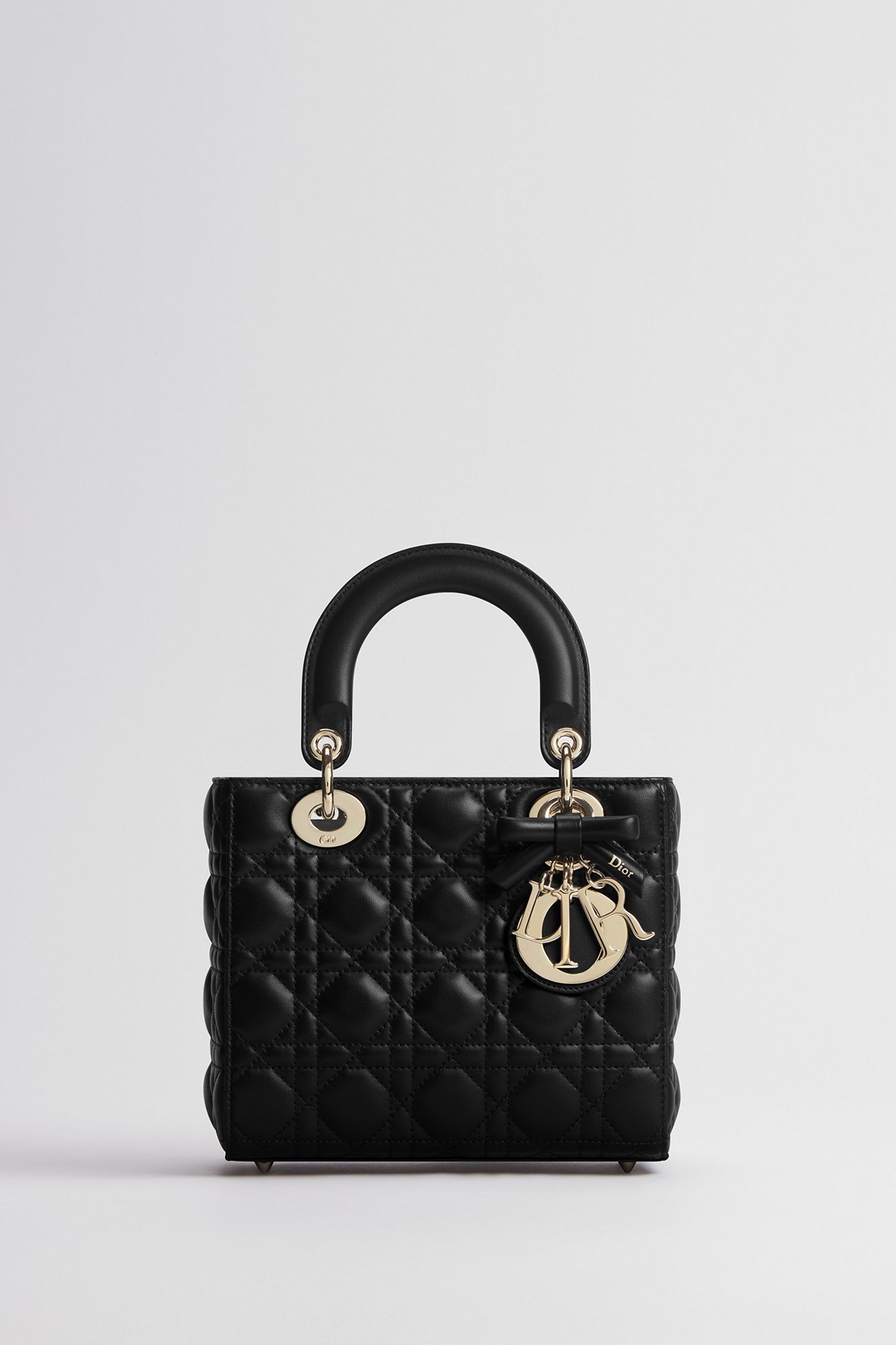 DIOR | レディディオール|ウィメンズレザーグッツ｜ディオール公式