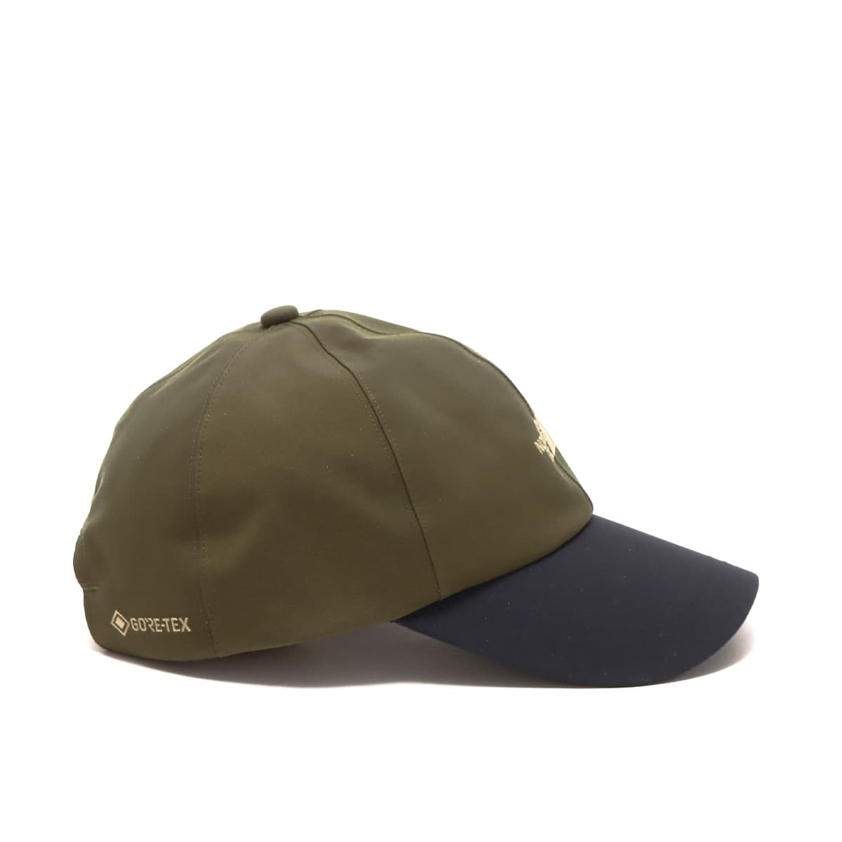 THE NORTH FACE VINTAGE GORE-TEX CAP オリーブ×ブラック 22FW-I（ザ