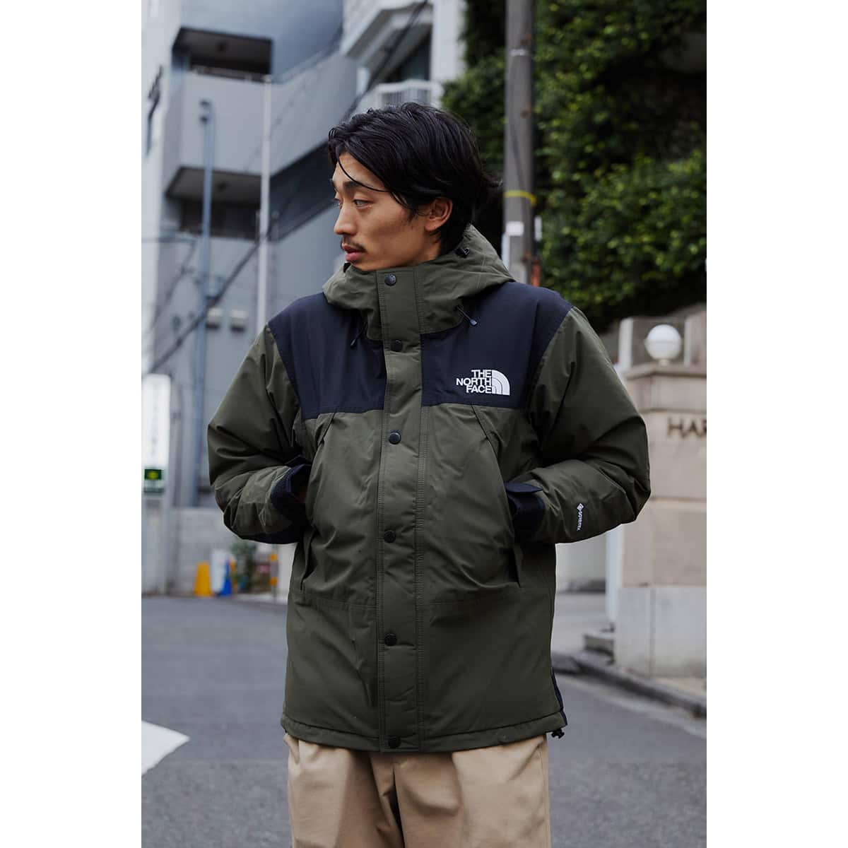 THE NORTH FACE MOUNTAIN DOWN JACKET ニュートープ（ザ・ノース