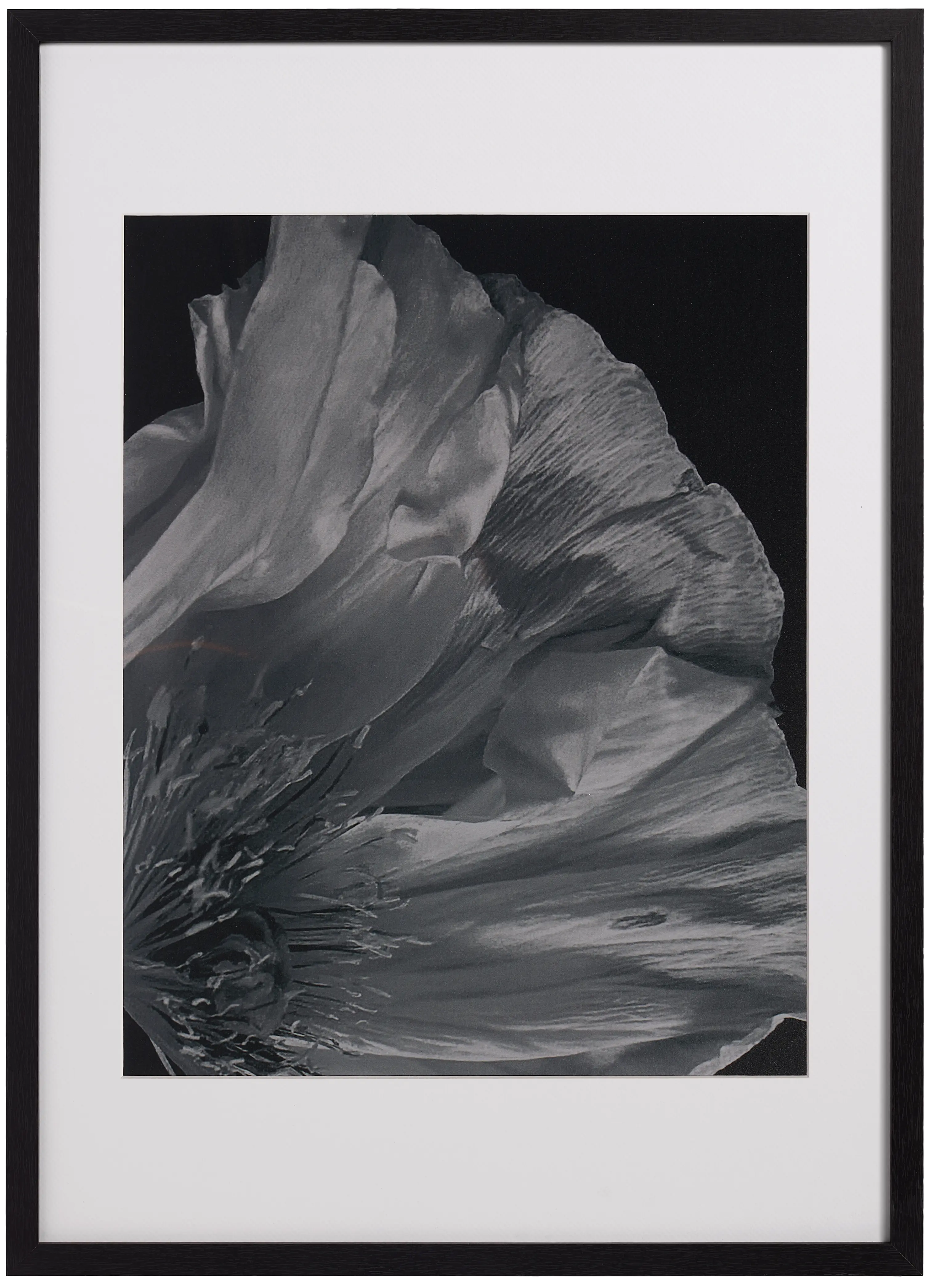 Modern Contemporary Wall Art | Contemporary Design - Black | BoConcept