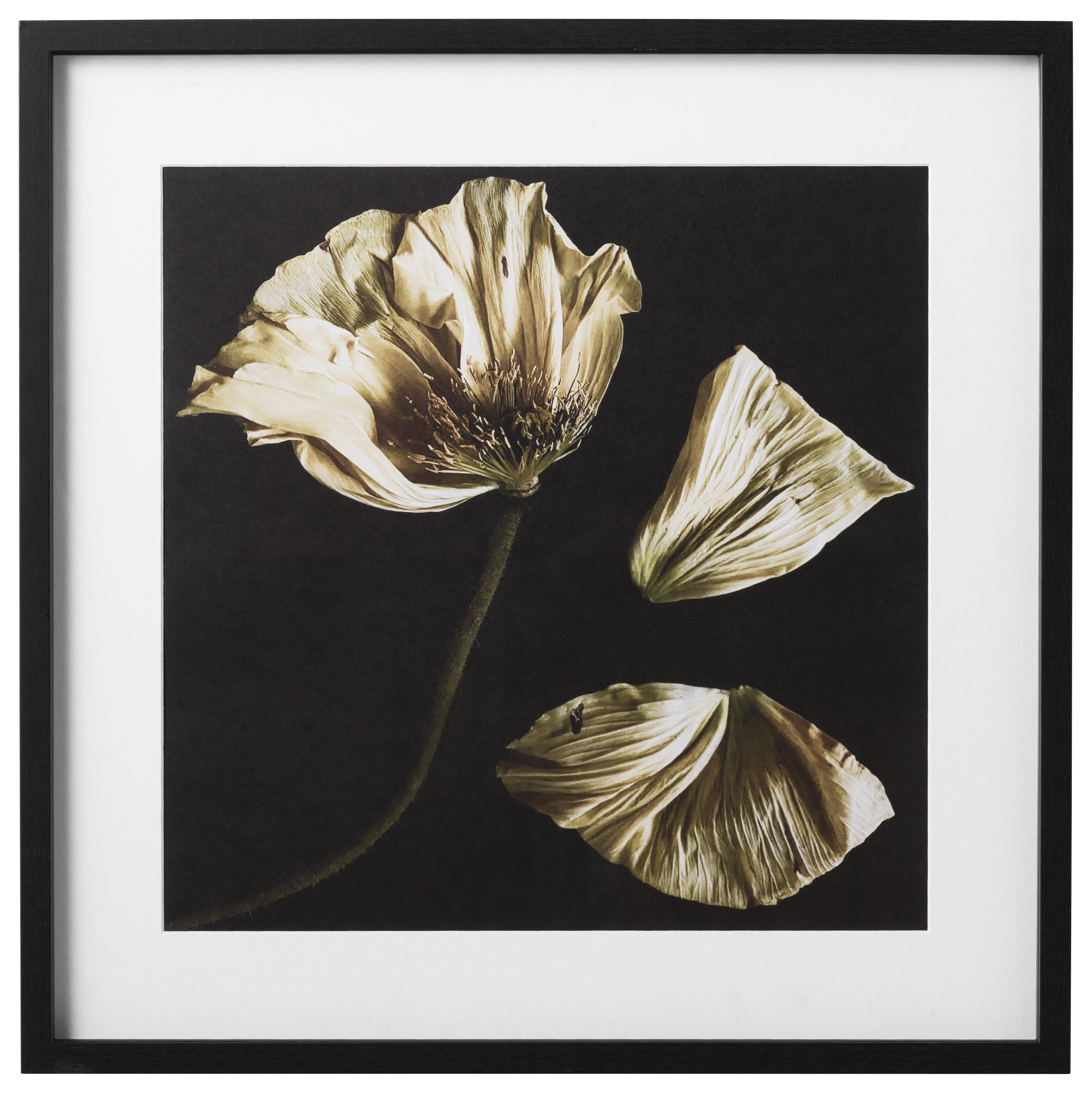 モダンなコンテンポラリーウォールアート | コンテンポラリーな