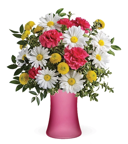 Tickle Me Daisy | Blooms Today