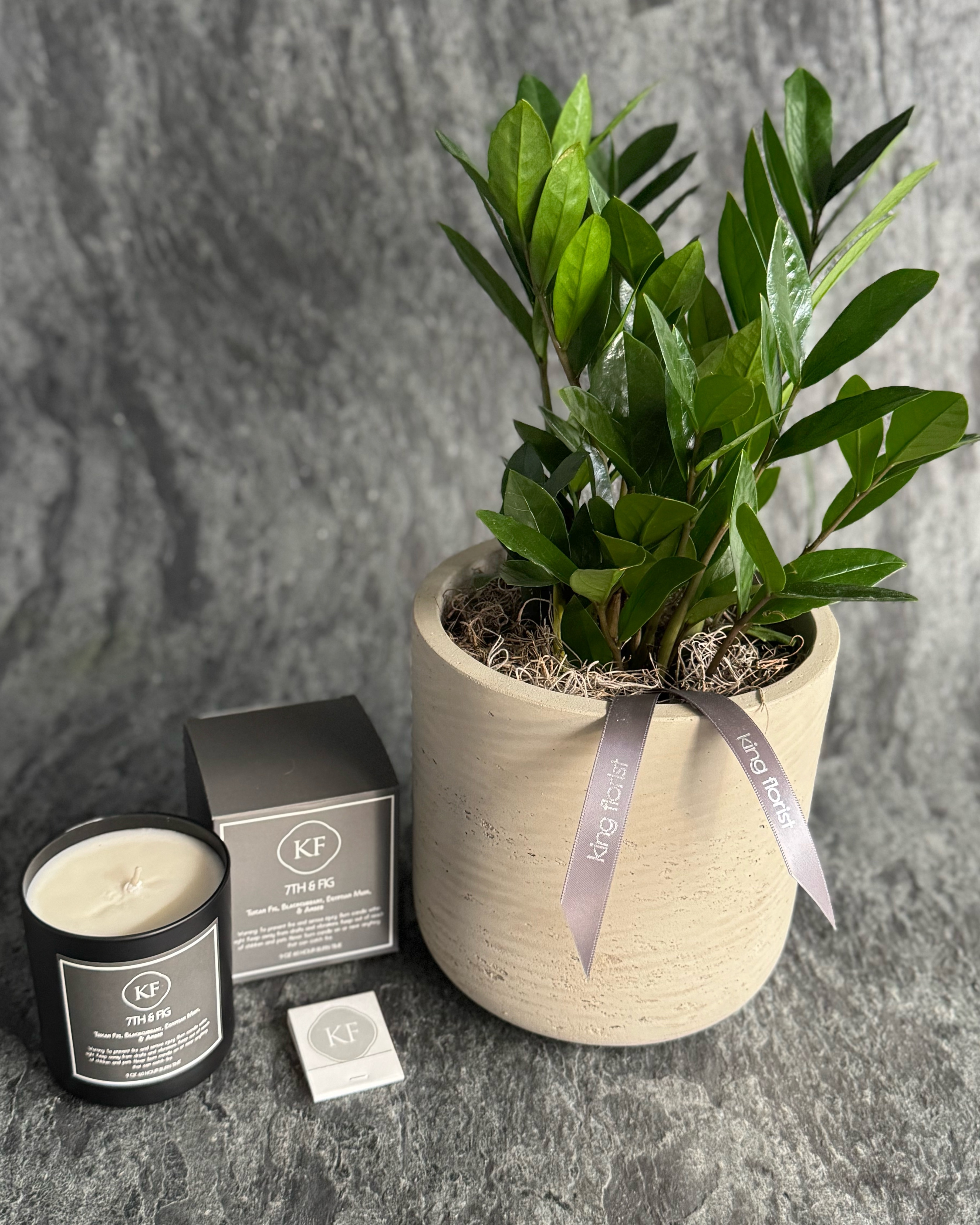 ZZ Plant in Austin TX - King Florist Of Austin