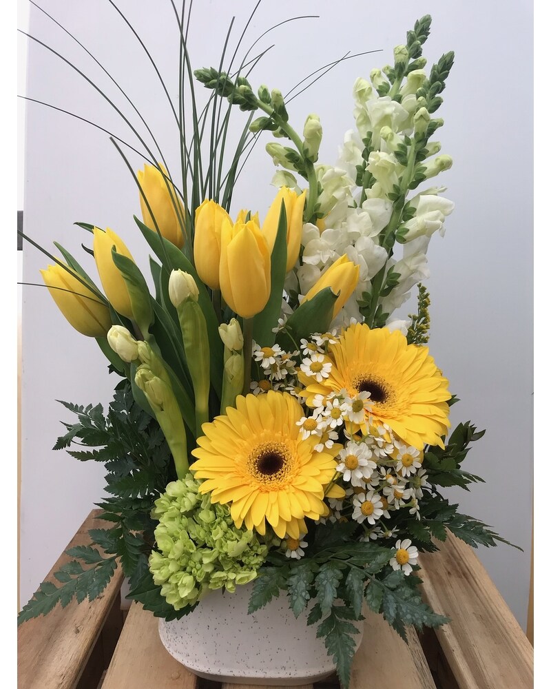 Mellow Yellow in Sioux Falls SD - Cliff Avenue Florist
