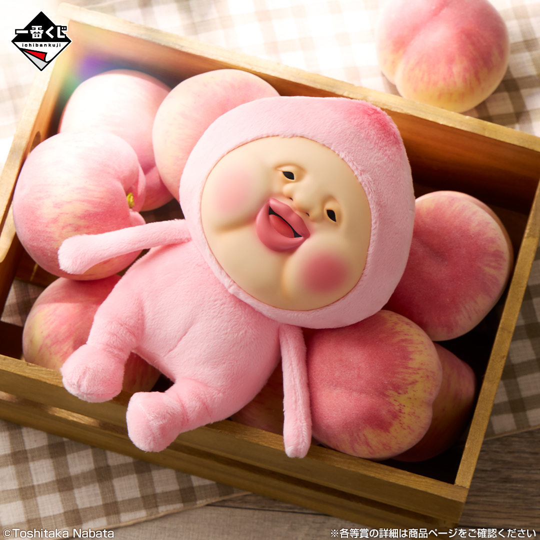 最終値下！こびとづかん一番くじ37点コンプ⭐︎貰った人は間違いなく