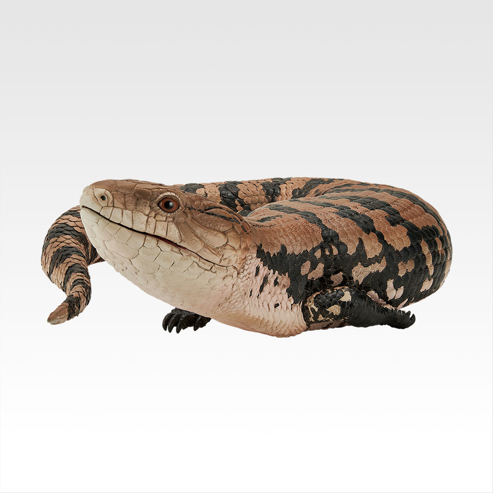 一番くじ 爬虫類＆両生類～Tiny Friends～vol.2｜一番くじ倶楽部