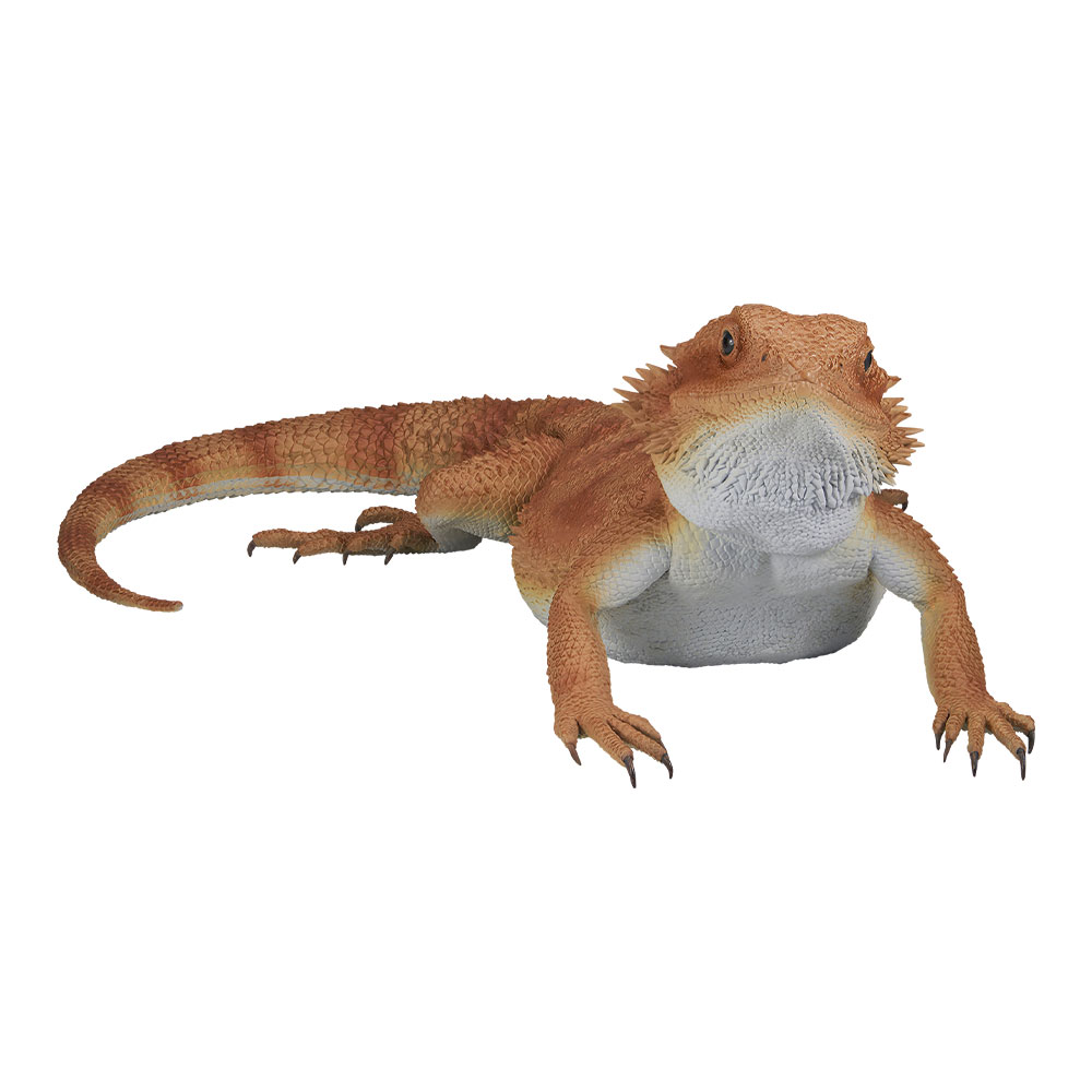 一番くじ 爬虫類＆両生類～Tiny Friends～｜一番くじ倶楽部｜BANDAI