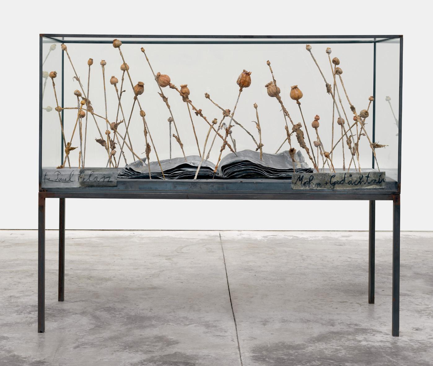 8623cd2f0e380f7fb0c20d43bfead9