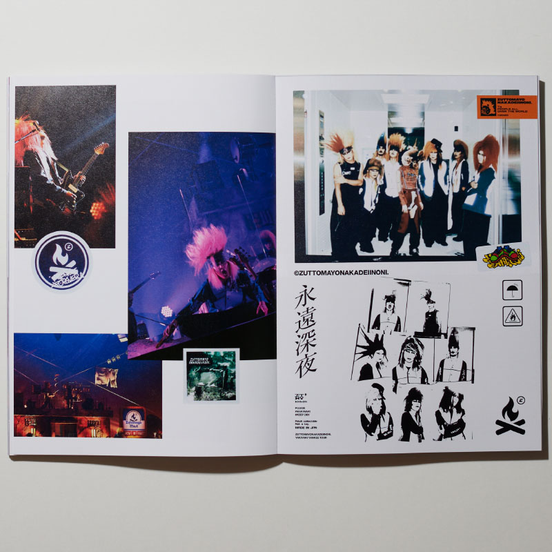 LIVE PHOTO BOOK 5 YEARS OF UPHEAVAL - ZUTOMAYO MART International