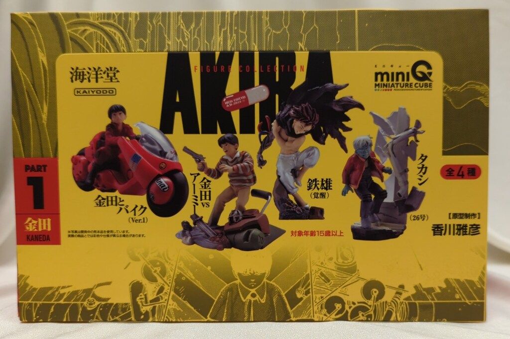 Concise Pathology by Tadatake Funao 最新 小病理学