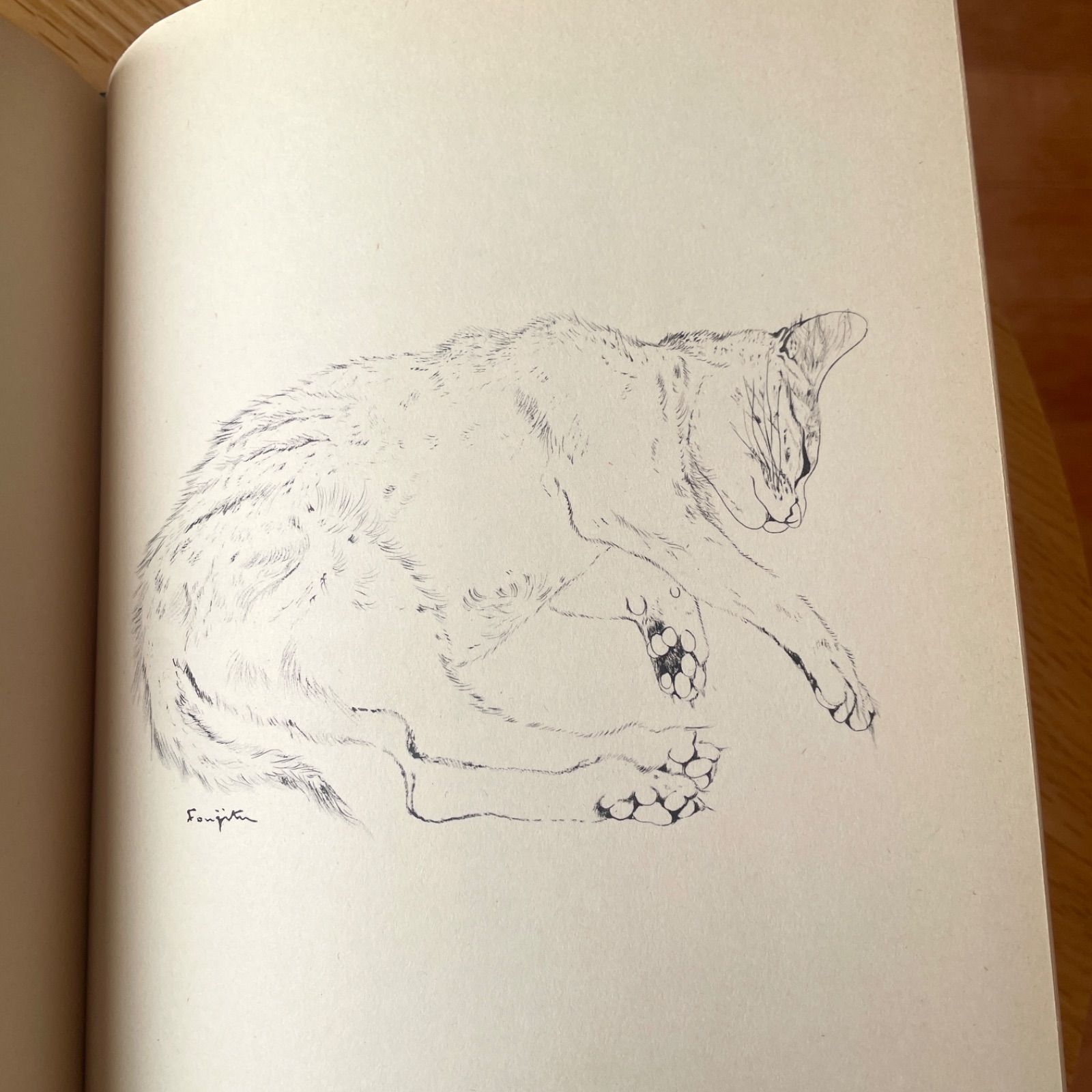 現品限り】1950年 初版「NIGHT AND THE CAT」夜と猫 藤田嗣治 挿絵12点