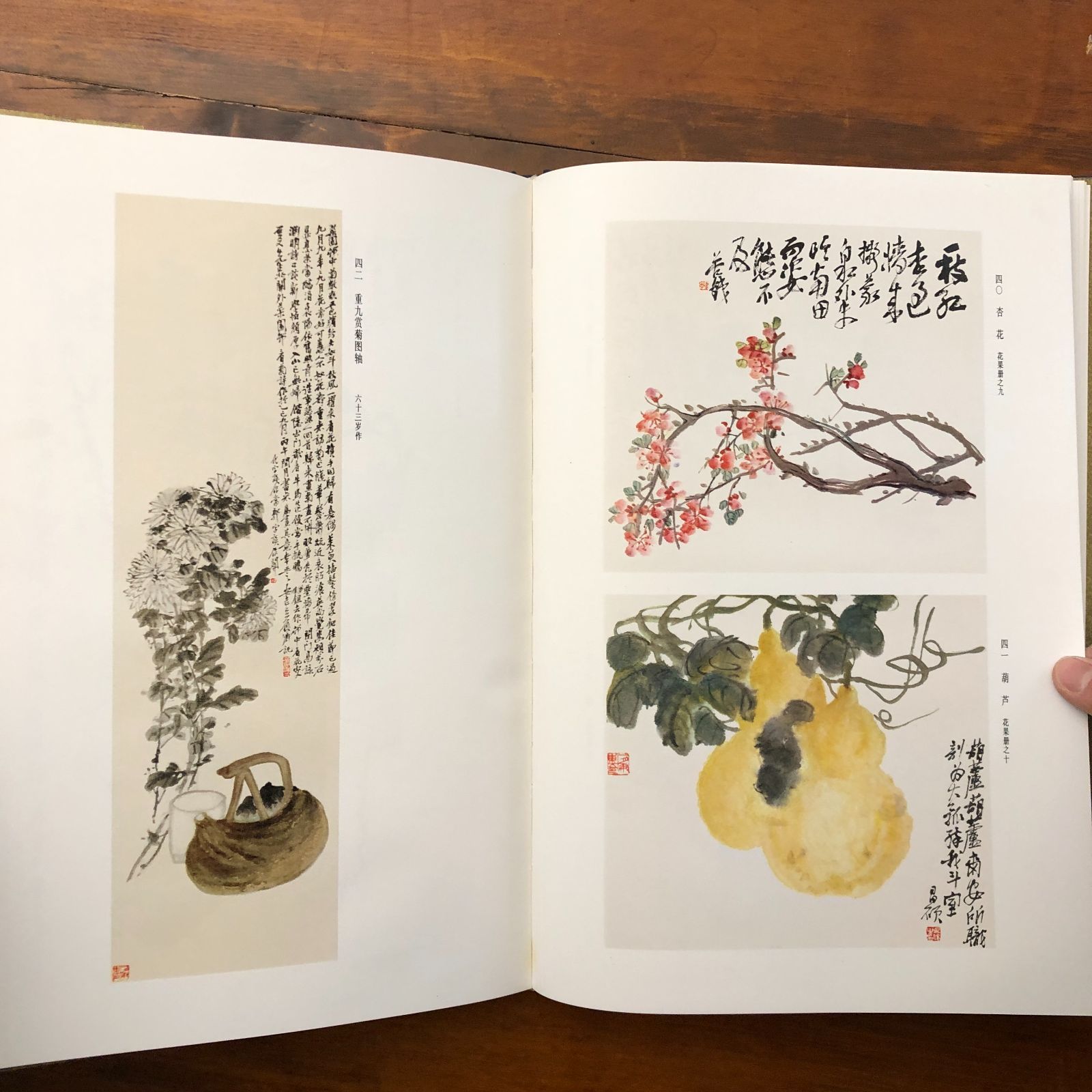 5125』文人画粋編 全20巻中2冊 八大山人 石濤 金農 呉昌碩 齊白石 5125