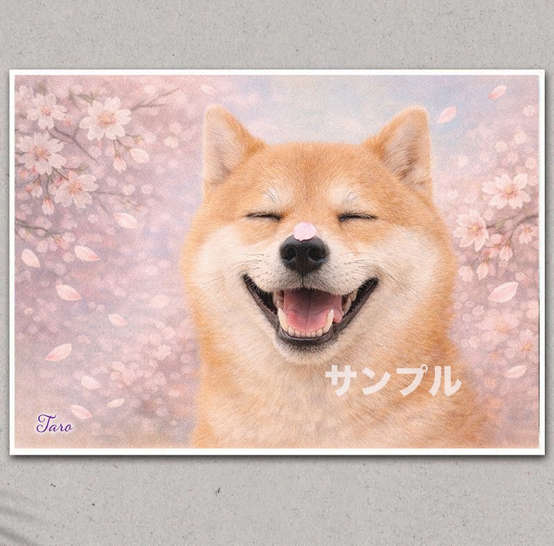 柴犬のイラストポスター A4 名入れ無料 満開の桜と幸せな柴犬 - メルカリ