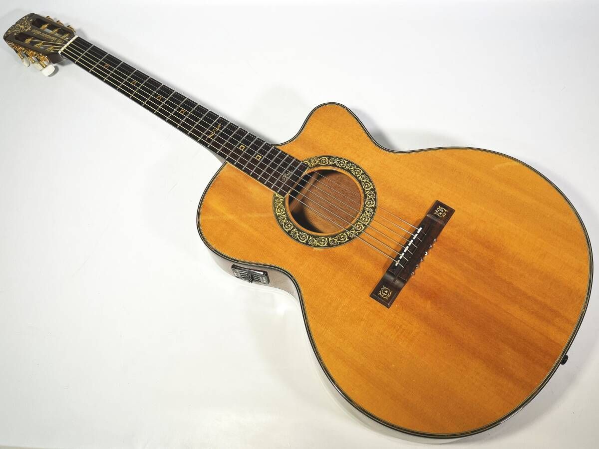 Aria The Sandpiper Deluxe アリア サンドパイパーデラックス エレアコ