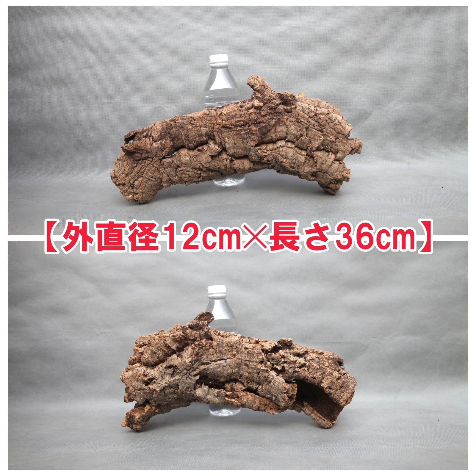 W595 ポルトガル産 キャノンコルク コルク樹皮 コルク板 バージン