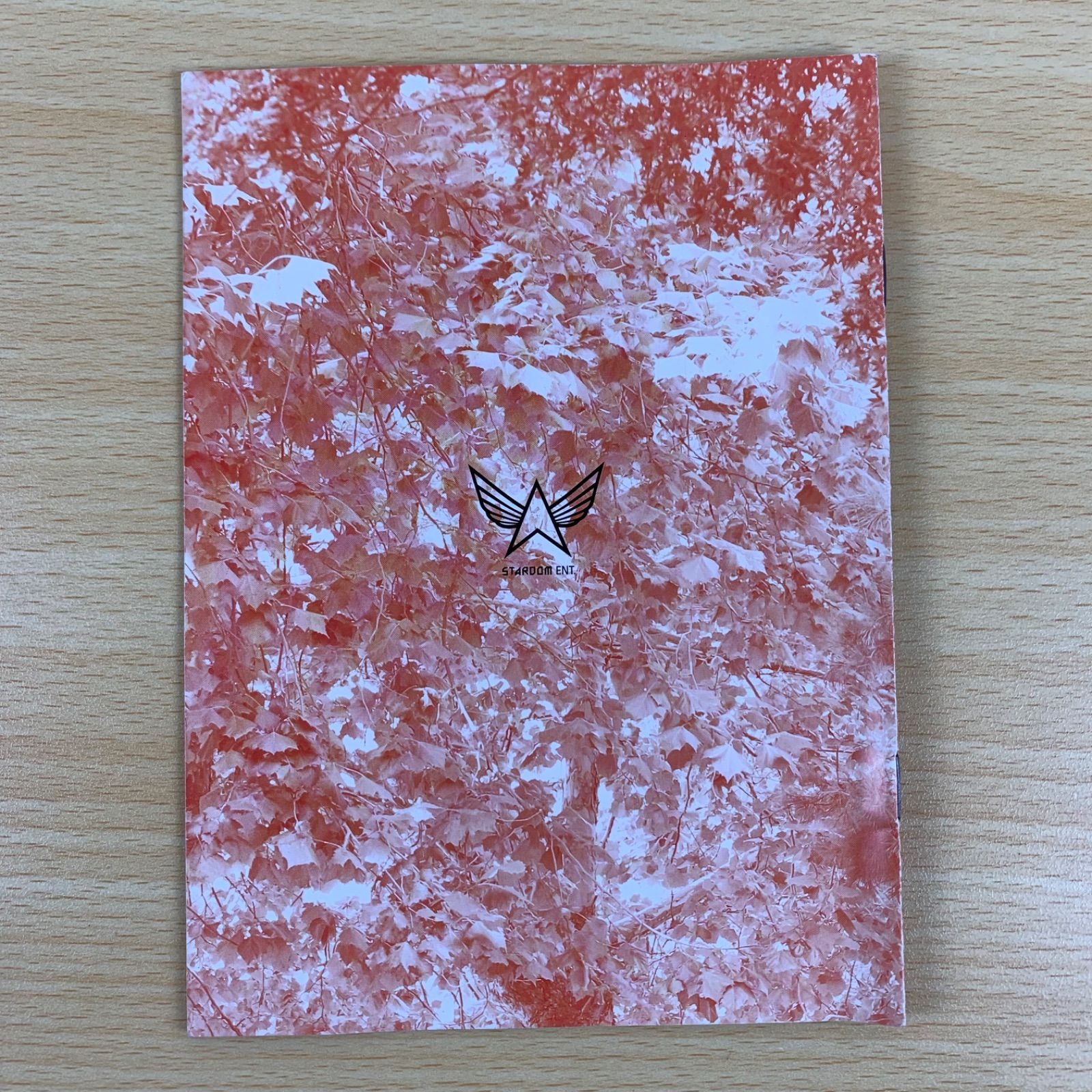 希少】ToppDogg 直筆サイン入りフォトブック AmadeuS 限定版 非売品 韓