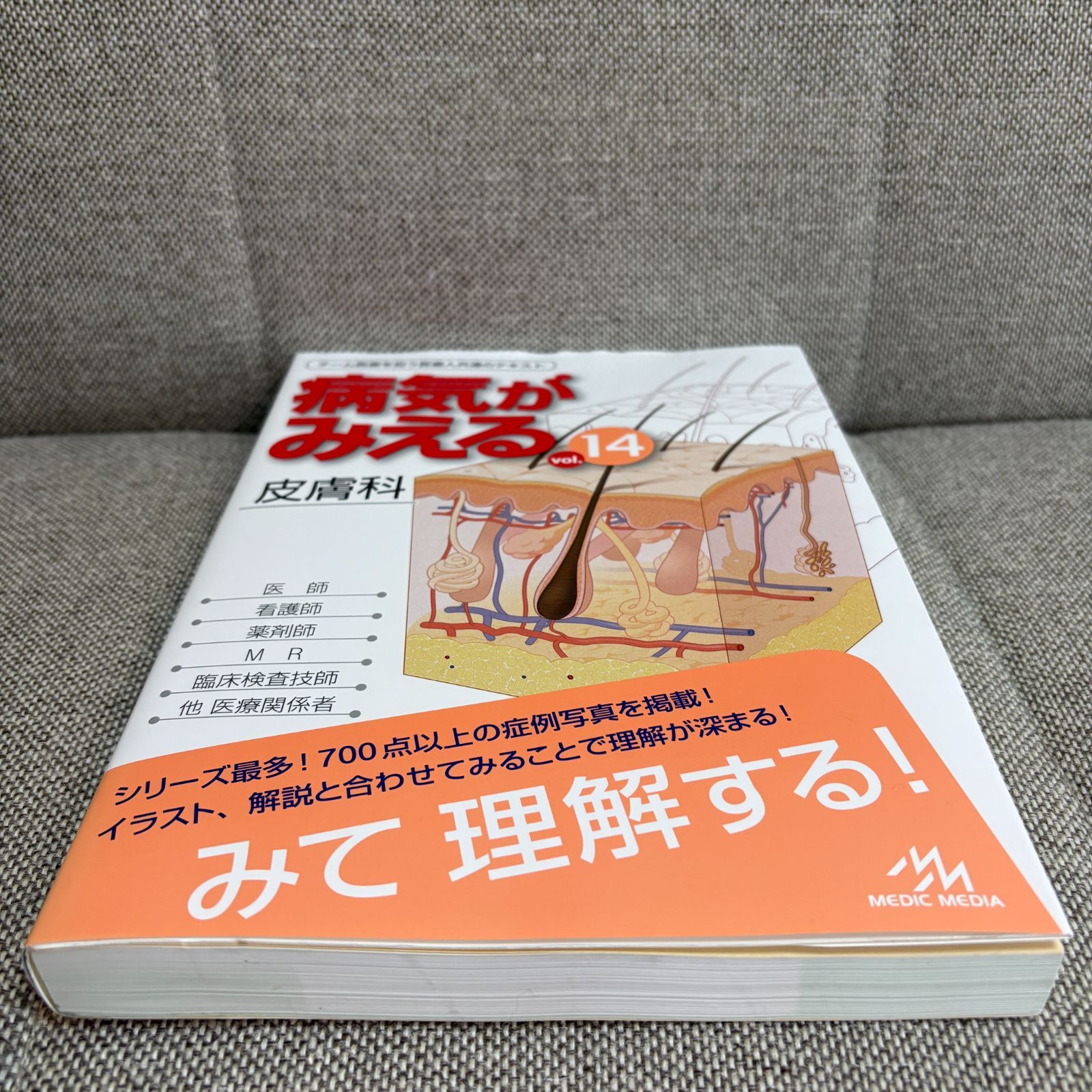 病気がみえる vol.14 皮膚科 第1版 医療情報科学研究所 （編集