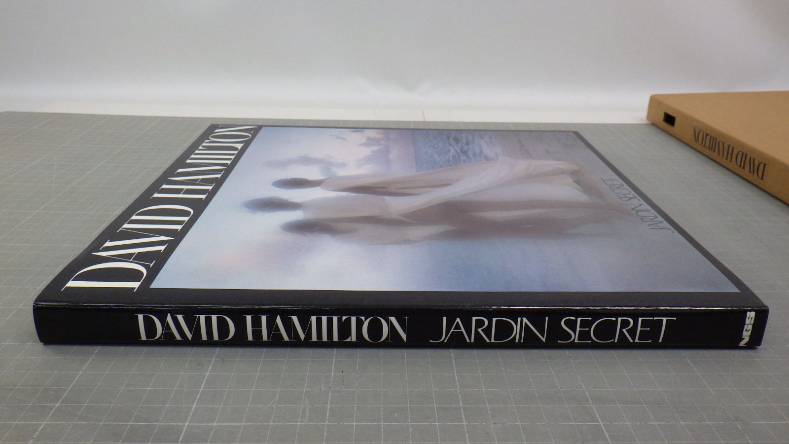 DAVID HAMILTON JARDIN SECRET/1981年発行/デビッド・ハミルトン