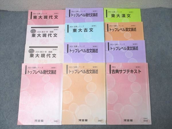 河合塾 東京大学 東大/トップレベル現代文/古文/漢文論述等 国語