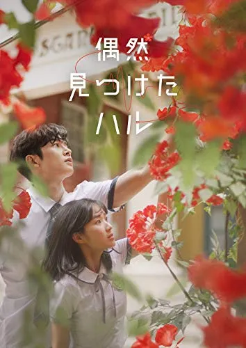 2026年最新】偶然見つけたハルostの人気アイテム - メルカリ