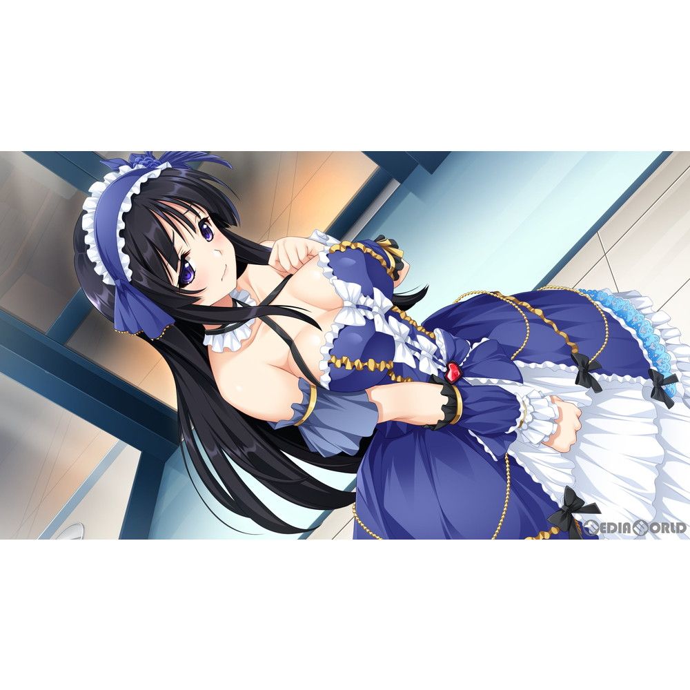 Nintendo Switch スイッチソフトジンキ・リザレクション(Jinki