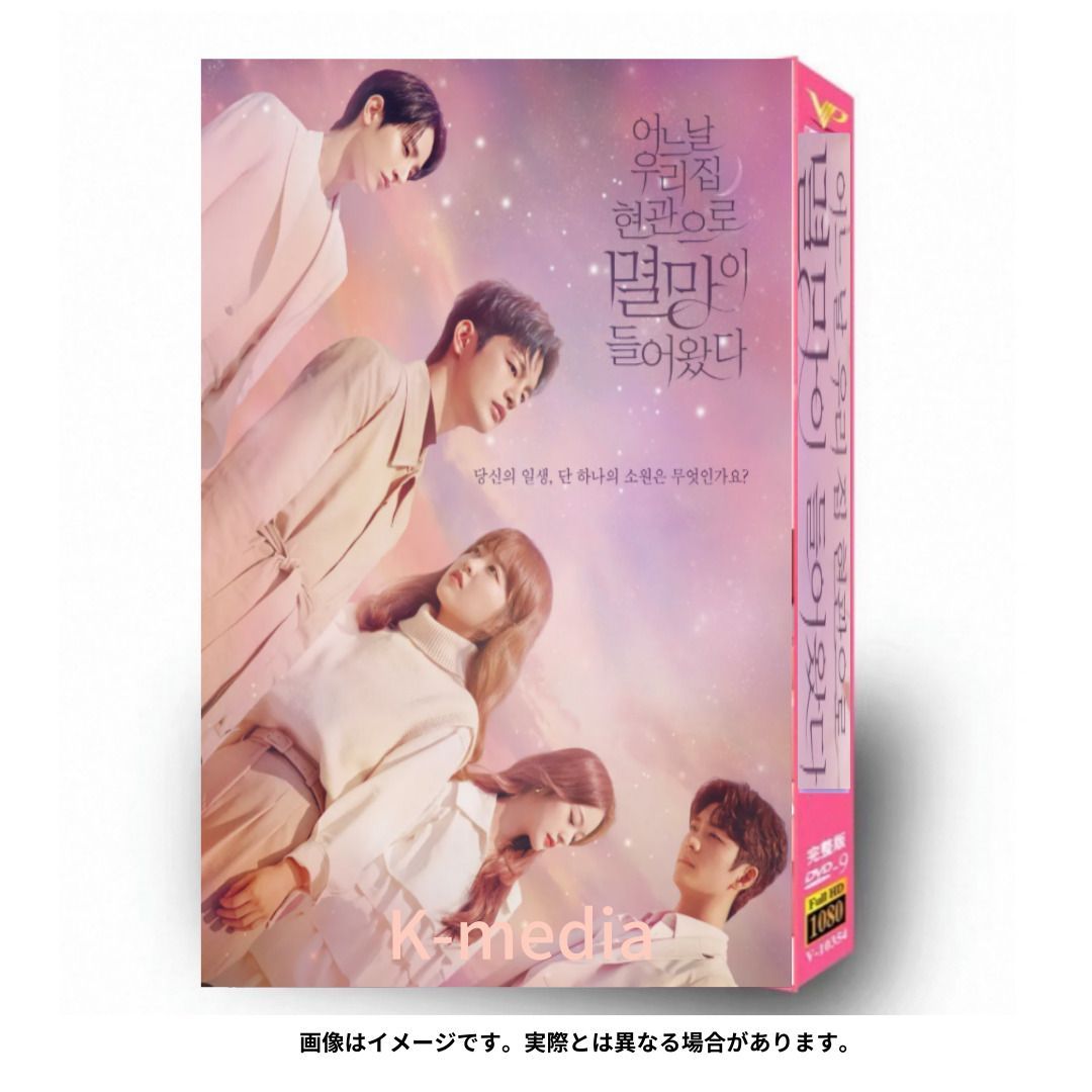 韓国ドラマ】ある日、私の家の玄関に滅亡が入ってきた 全話 DVD [並行