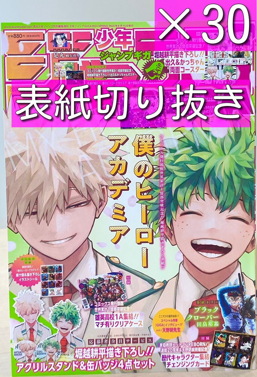 ☆安心の匿名配送☆ジャンプGIGA Spring 表紙切り抜き×30 ヒロアカ 僕