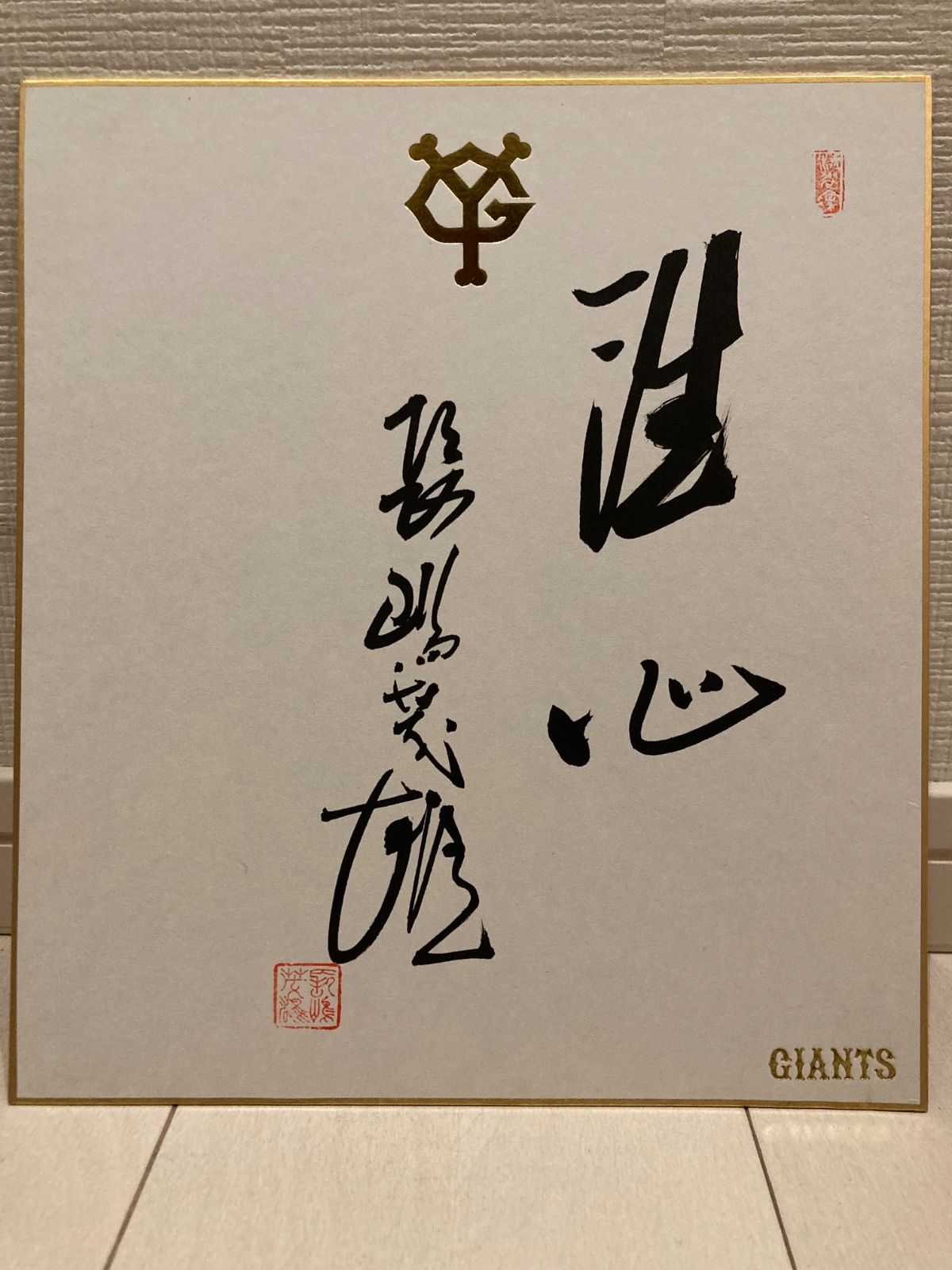 山本光輝 先生 揮毫 直筆 いろはひふみ呼吸書法 太陽波動といろは神名