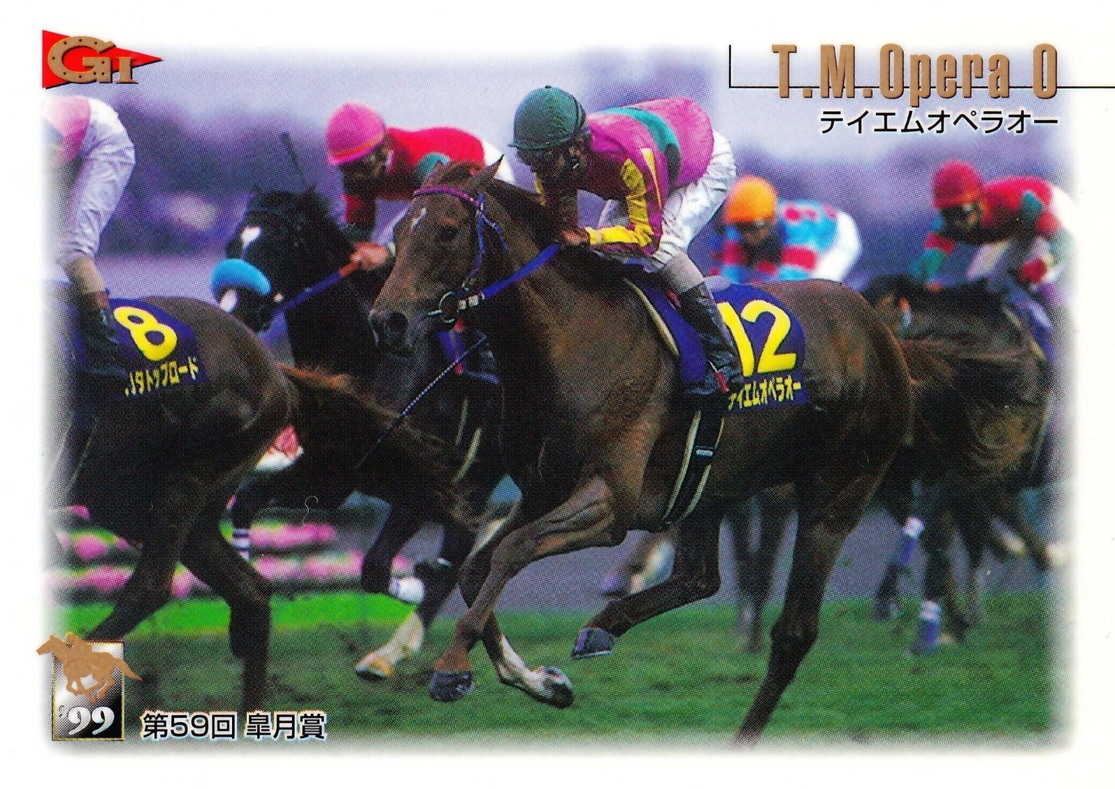 き*】様 1999年 皐月賞 現地馬券18頭 き*】様 1999年 皐月賞 現地馬券