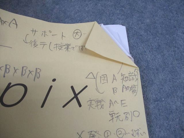 SAPIX サピックス 小6 算数 SS特訓 Sunday SapiX 解法力01～14 全14回