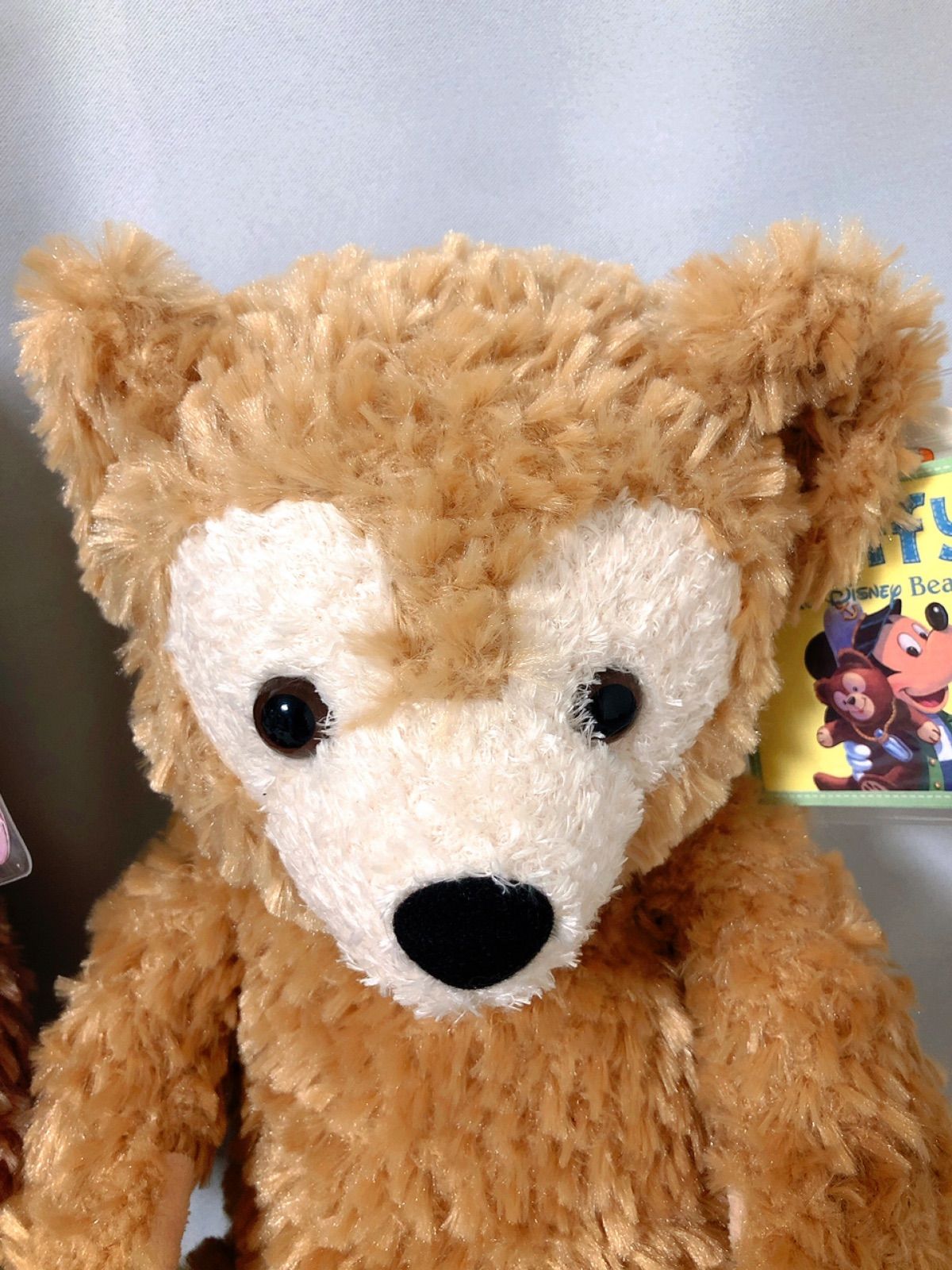 新品 タグ付き ダッフィー＆シェリーメイ ぬいぐるみ ディズニー シー