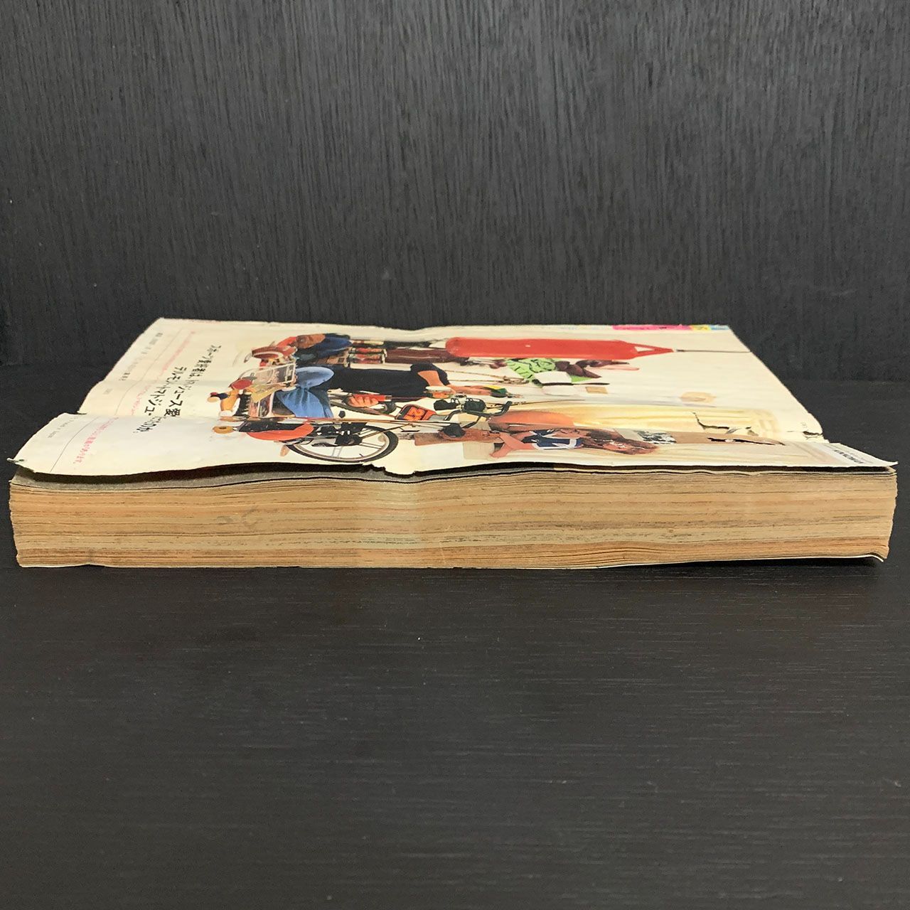 ジャンク☆少年ジャンプ1981年45号新連載「ストップ！！ひばりくん