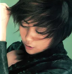 2026年最新】宇多田ヒカル レコード distanceの人気アイテム - メルカリ