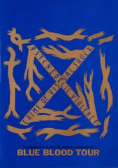 2026年最新】x japan blue blood パンフレットの人気アイテム - メルカリ