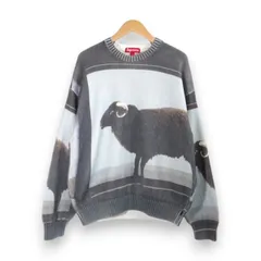 2026年最新】supreme ダミアンハースト セーターの人気アイテム - メルカリ