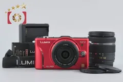 2026年最新】ダブルレンズ GF2の人気アイテム - メルカリ