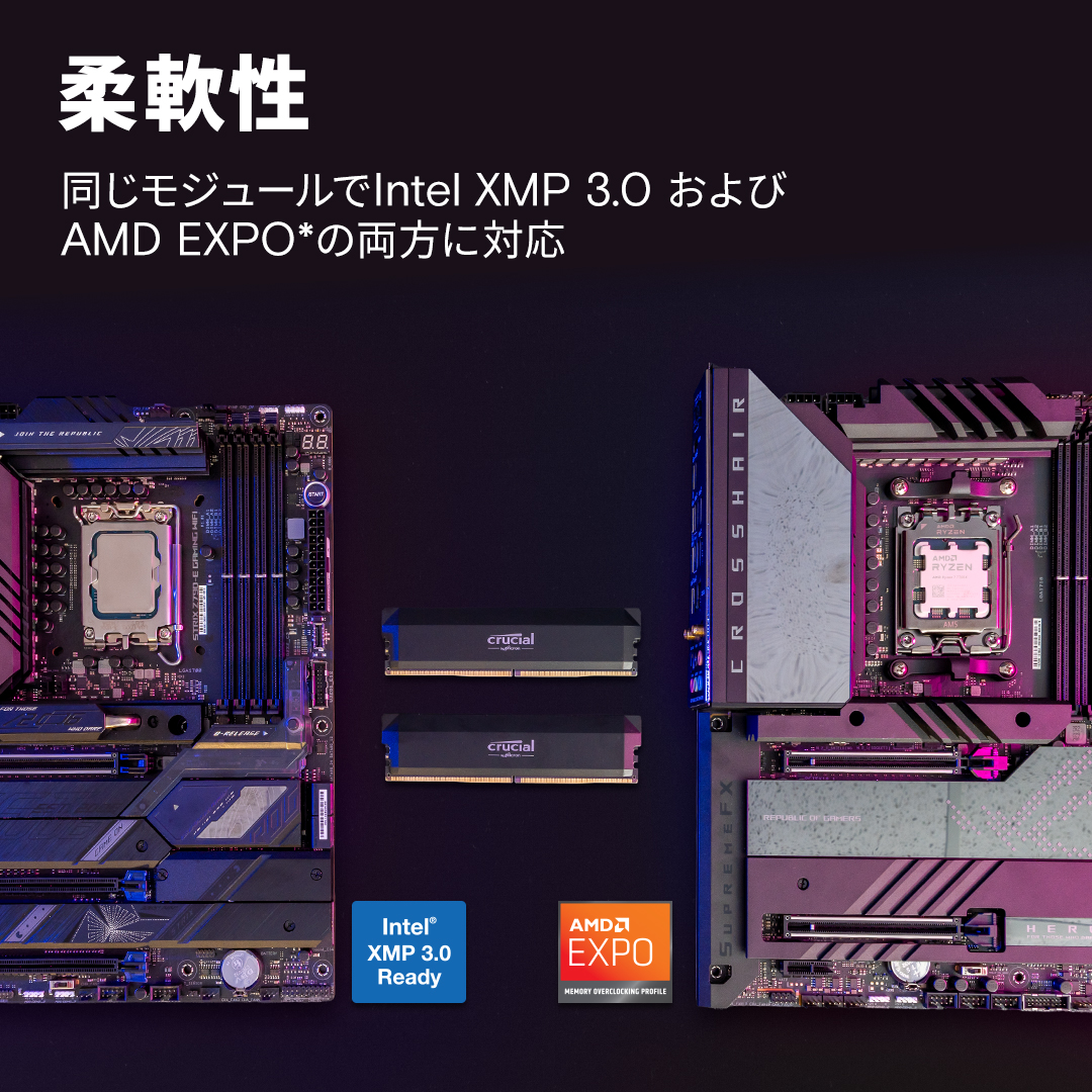 Crucial Pro DDR5-6000 32GB Kit (16GBx2) UDIMM: OC Gaming Memory