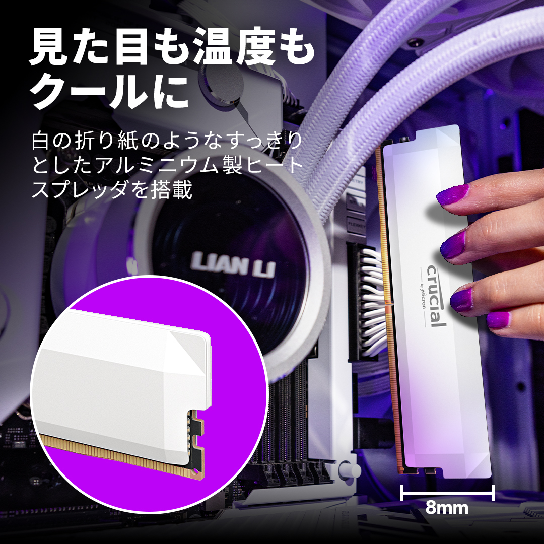 Crucial Pro DDR5-6000 32GB Kit (16GBx2) UDIMM: OC Gaming Memory