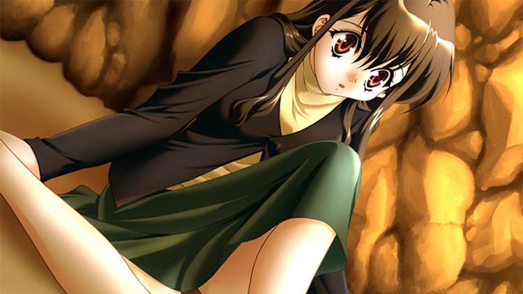 Ever 17/Never 7 Double Pack for Nintendo Switch - Nintendo