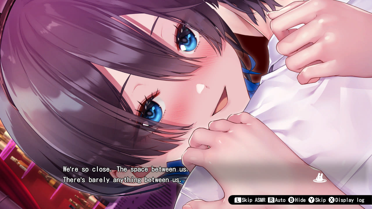 バニーガーデン BUNNY Switch Nintendo GARDEN