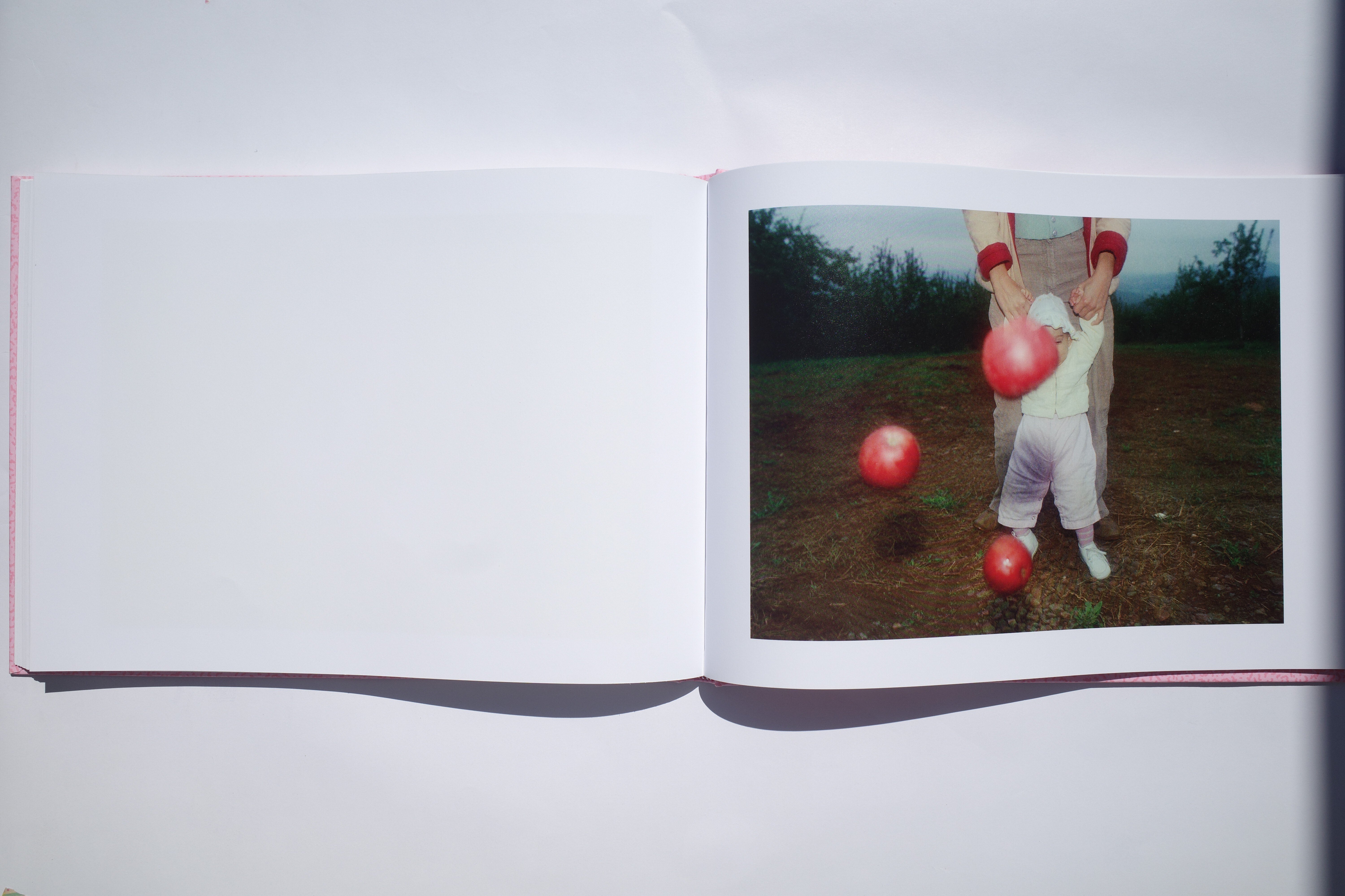 NOT TOO LATE #6: Michael Northrup: DREAM AWAY｜flotsambooks