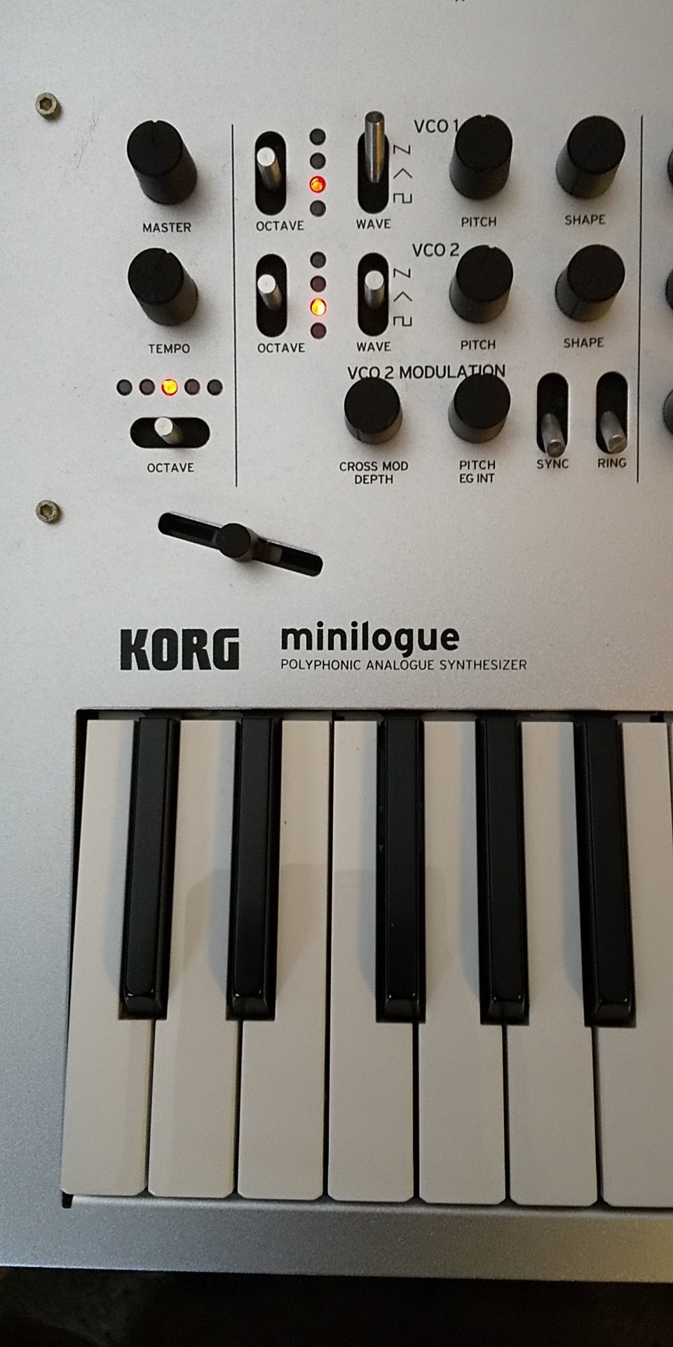 KORG minilogue｜hikari togawa